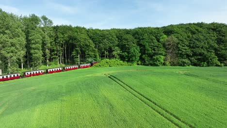 el tren de vapor viaja a un bosque.