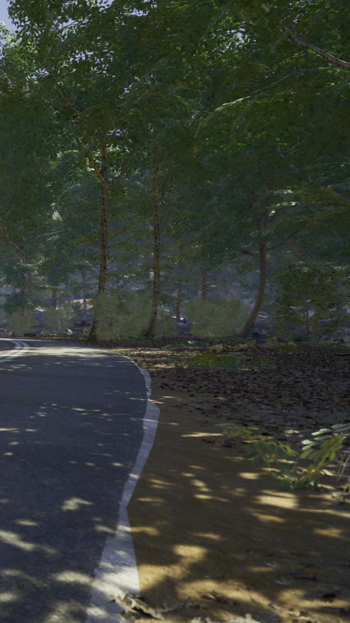 Winding path through a tranquil forest embracing morning sunlight