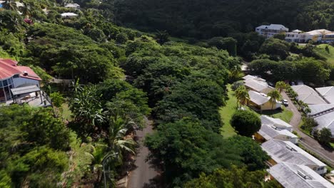 guadeloupe escénica: vistas aéreas de la belleza rural en 60 fotogramas por segundo