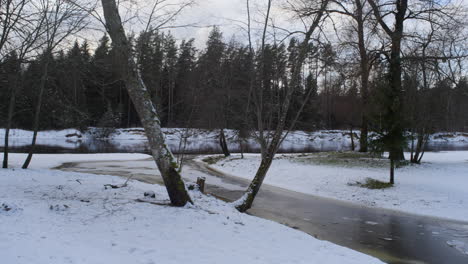 vidzeme de letonia en el mes de enero