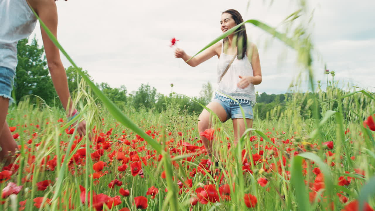 chicas jugando en un campo de amapolas