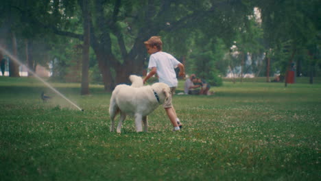 little boy running cute dog. cheerful golden retriever on sunny day in park