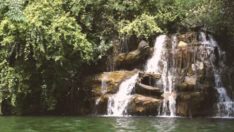 pequeña cascada en la naturaleza durante el día, vista cerca de la superficie del agua, un gran árbol está alrededor de la cascada