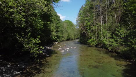 Droneshot-above-a-stream-in-a-forest