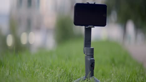 smartphone mounted on a tripod in a grassy area