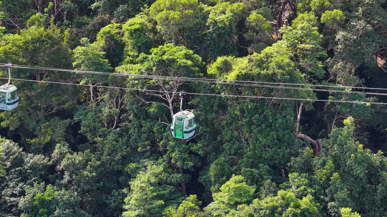 Cable cars glide over dense rainforest, offering panoramic views of vibrant greenery and serene natural beauty