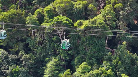 cable cars glide over dense rainforest, offering panoramic views of vibrant greenery and serene natural beauty