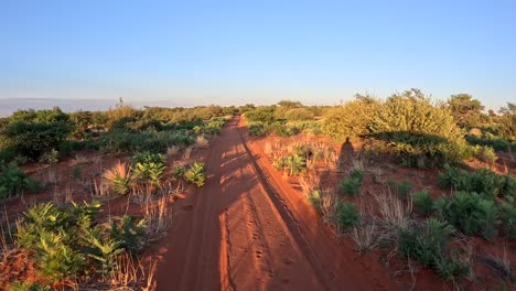 A-time-warp-of-a-safari-vehicle-and-its-shadow-driving-through-the-bushveld-of-the-Southern-Kalahar-during-the-early-hours-of-the-morning,-a-lush-savannah-landscape-passes-by