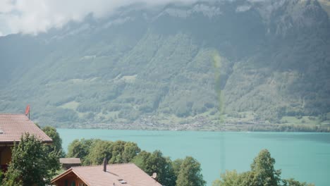 Iseltwald-Schweiz-Nahaufnahme-Gras-Landschaftlich-Bewölkter-Berg