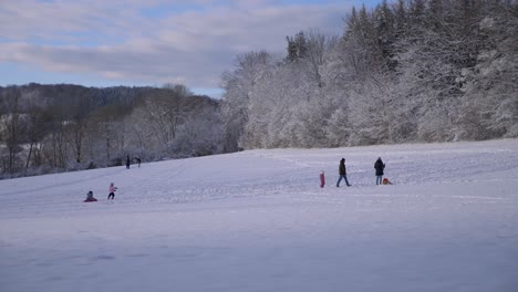 Static-shot-of-kids-sledding-and-playing-on-a-small-snowy-hill-during-a-beautiful-sunny-winter-day-in-Swabia,-Germany