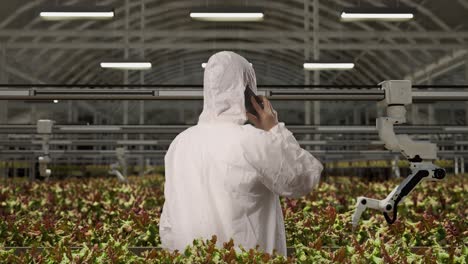 back view of a man researcher talking on smartphone while standing in the greenhouse with smart robotic farmers