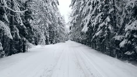 La-Cámara-Vuela-En-Un-Camino-Forestal-Invernal-En-El-Frío-Invierno-En-Coche.-La-Vista-Desde-El-Capó