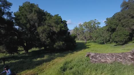 Atv-Acelerando-A-Través-De-Un-Campo-De-Robles-En-California