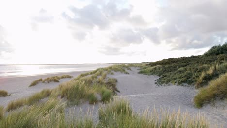 Aerial-wide-shot-of-waving-grass-of-dunes,-empty-sandy-beach-and-sun-reflection-on-water-surface-of-ocean---static