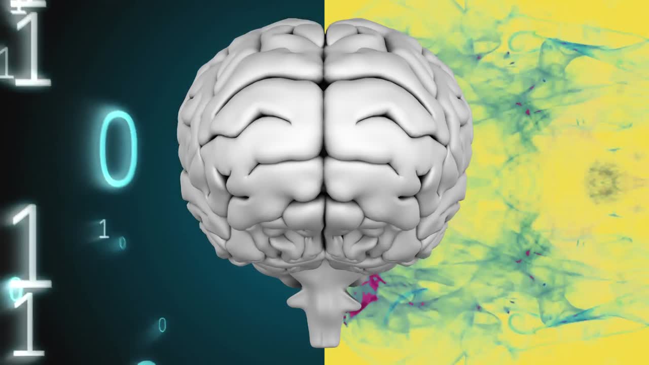두 부분으로 나누어진 회색 인간의 뇌의 애니메이션