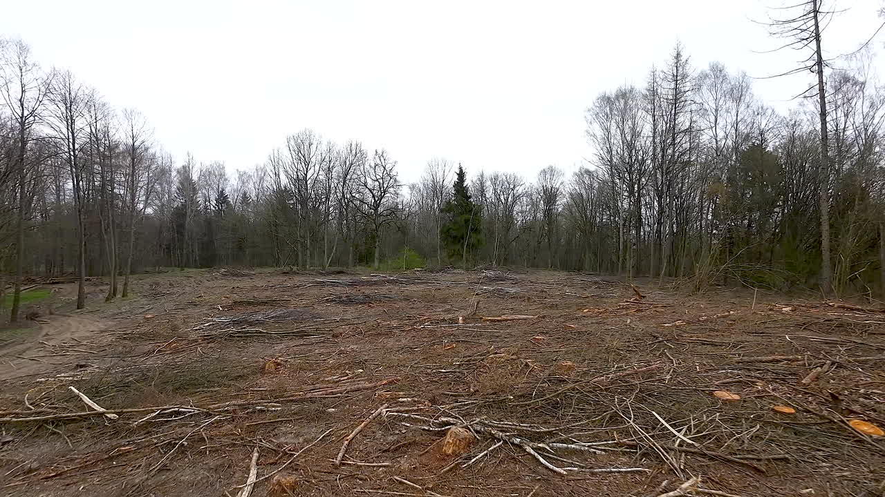 Aerial - Remains of cutting and logging waste in forest
