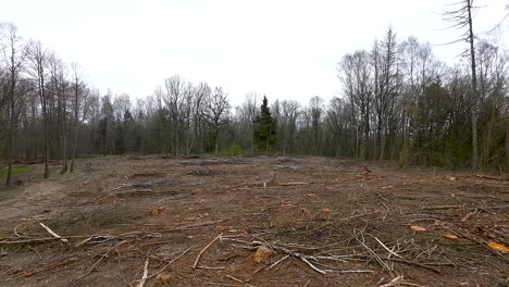 aerial - remains of cutting and logging waste in forest