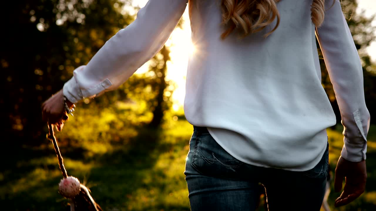 아름다운 갈색은 해가 지는 동안 자연에서 개와 놀고