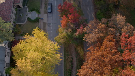 Aerial-with-pull-away-and-tilt-up-over-gorgeous-Wydown-Boulevard-and-surrounding-Clayton-neighborhood-in-St