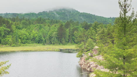 Lapso-De-Tiempo-De-Niebla-Y-Neblina-Saliendo-De-Los-Bosques-Del-Norte-De-Michigan