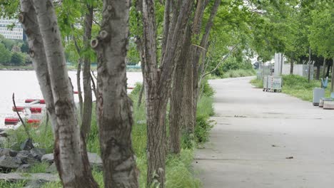 empty pathway by the river