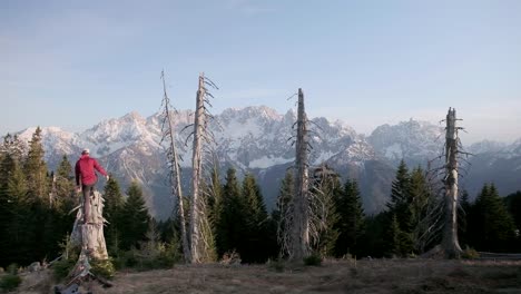 a hiker putting his backpack on the ground and climbing up a tree stump to celebrate getting to the top of the mountain