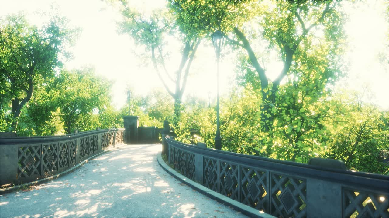 도시 에 있는 평화로운 공원