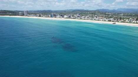 Turquoise-Seascape-At-Palm-Beach-In-The-City-Of-Gold-Coast,-Queensland,-Australia---Aerial-Drone-Shot