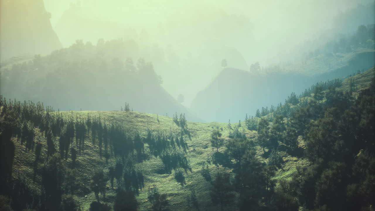 Vibrant landscape featuring rolling hills and misty mountains during sunrise