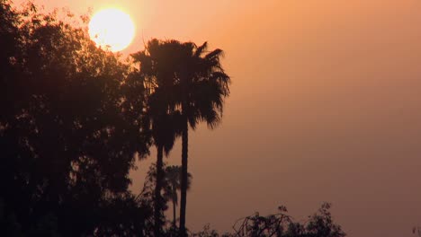 a hazy smoggy day in los angeles