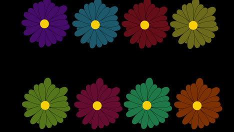 Flor-Flor-Icono-Bucle-Animación-Vídeo-Fondo-Transparente-Con-Canal-Alfa