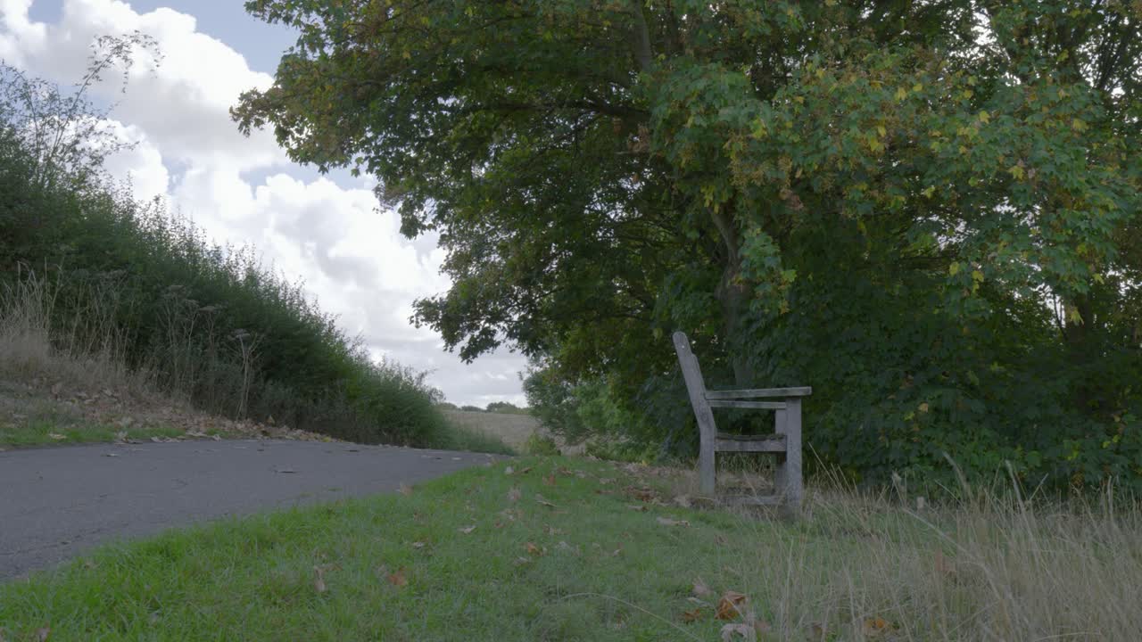 Rural English countryside, paved path in forest nature, outdoor wood bench