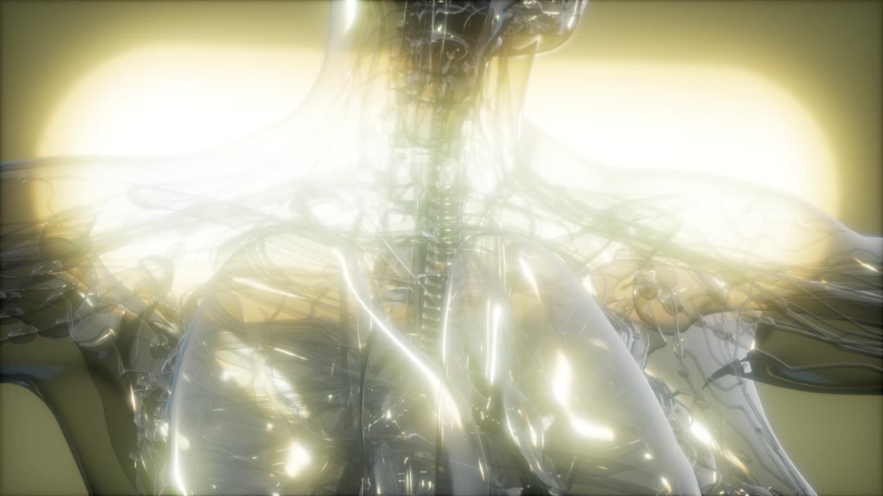 рентгеновское изображение человеческого тела