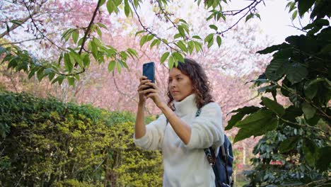 woman taking a picture of cherry blossoms