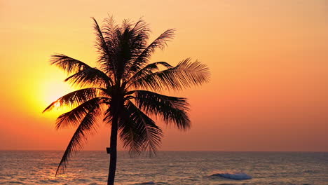 suggestive setting golden sun over sea through palm tree branches