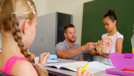 Vorderansicht-Eines-Jungen-Kaukasischen-Männlichen-Lehrers,-Der-Im-Klassenzimmer-Der-Schule-Ein-Anatomisches-Modell-Erklärt-4k