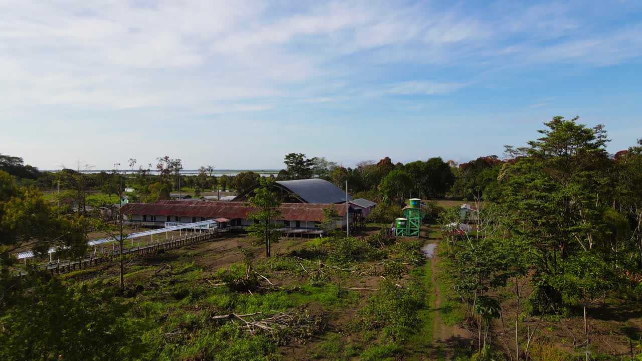 Green farmland by riverbank of Amazon in rural Brazil, aerial pull-out