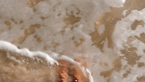 vista de arriba, mujer o pies en el agua de la playa
