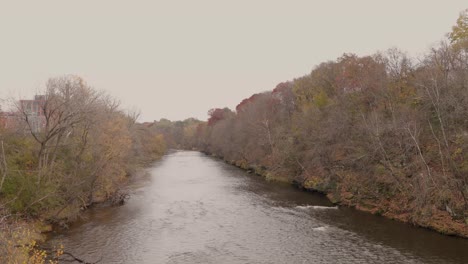 fast flowing river surrounded by trees