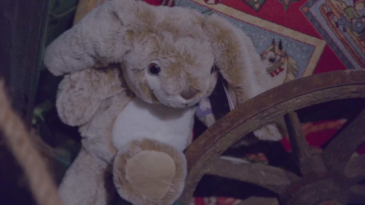 Brown Christmas rabbit in a trunk in Schilliger in Gland Switzerland