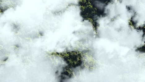 forest aerial with white clouds in the foreground