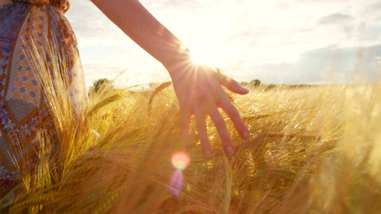 도시 밖으로 나가는 것