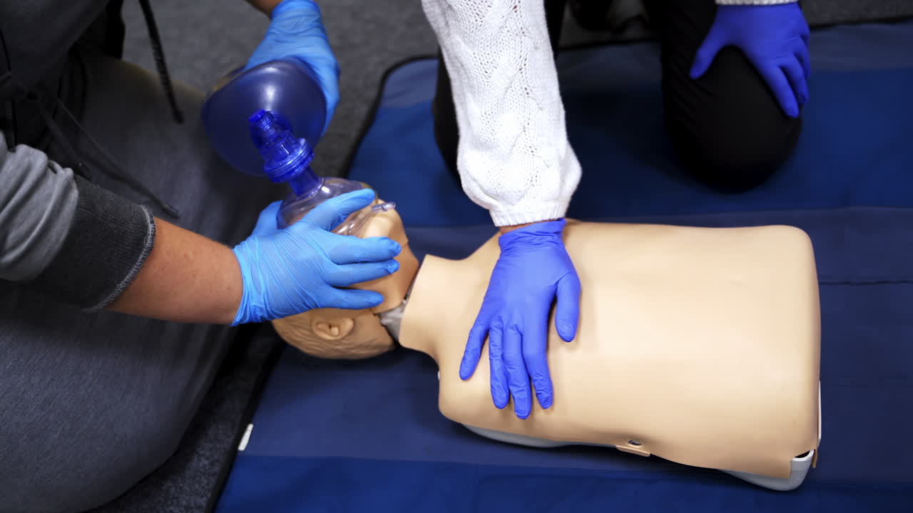Mannequin and intubation set for advance cardiac life support training. Medical courses for paramedics.
