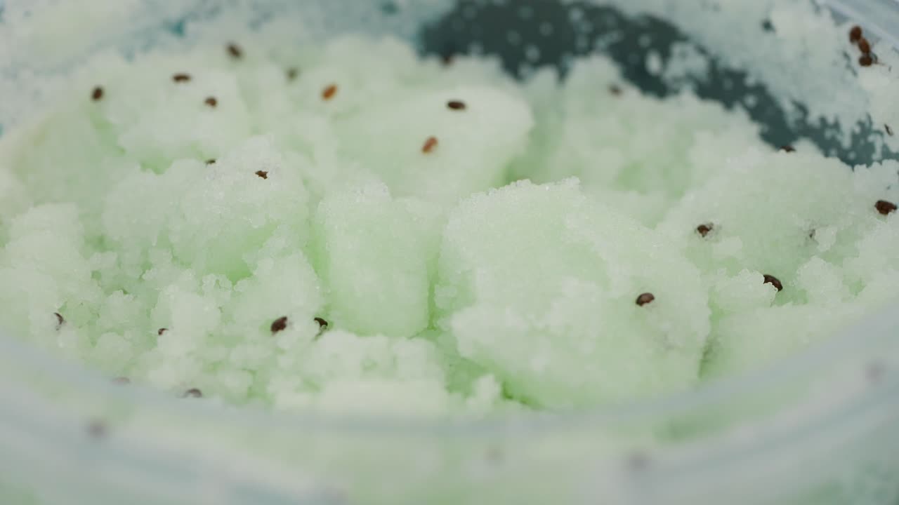 Kiwi Exfoliating Scrub