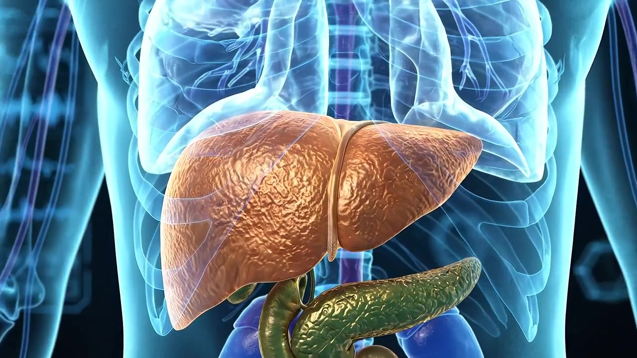 Interfaccia diagnostica medica computerizzata che visualizza una scansione completa dell'anatomia umana