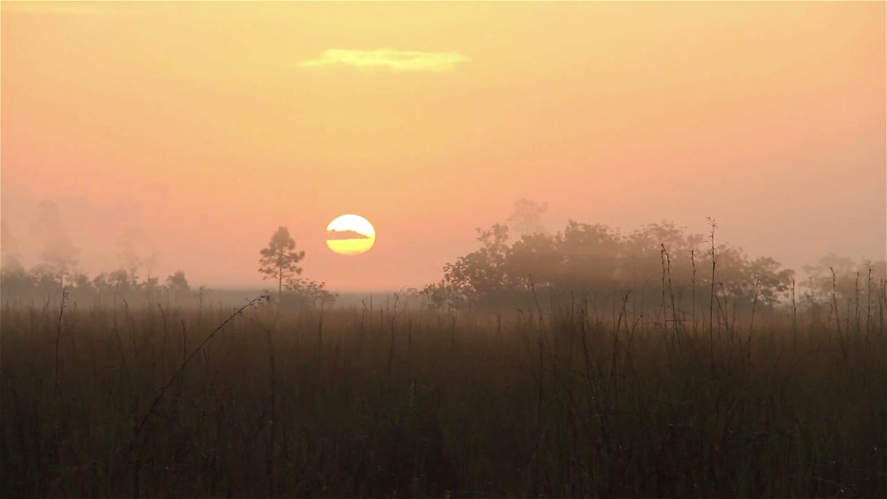 amanecer sobre los everglades de florida