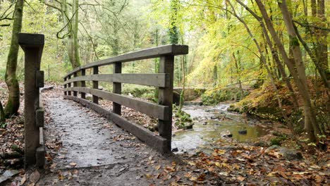 wooden bridge crossing natural flowing stream in autumn seasonal forest woodland wilderness