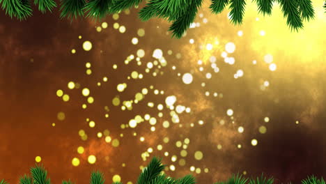 christmas tree branches over golden bokeh lights animation