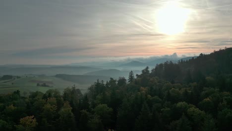 Drohnenflug-über-Einem-Wald-In-Der-Schweiz