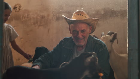 old farmer interacting with goats